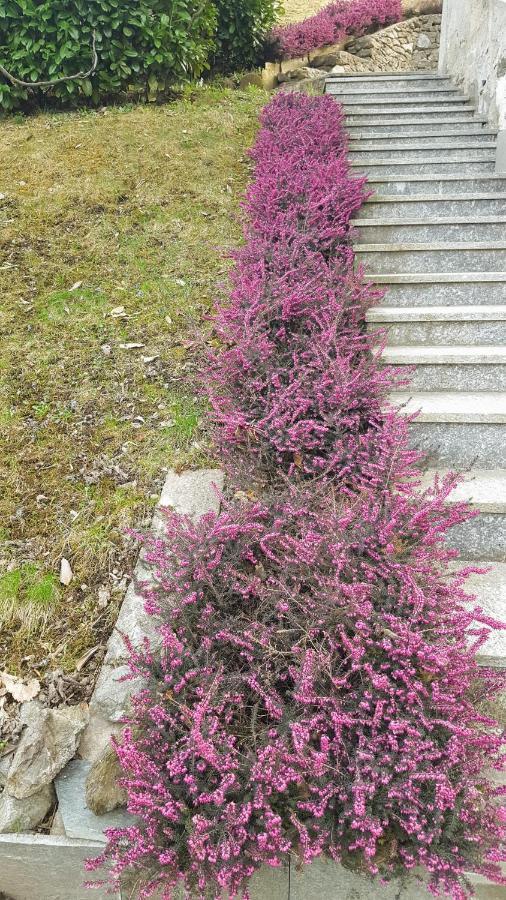 B & B Sentiero Valtellina Castello dell'Acqua Eksteriør bilde