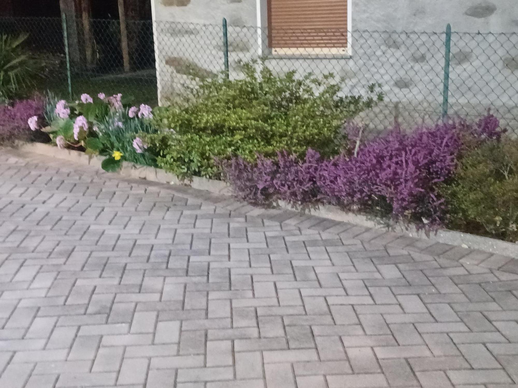 B & B Sentiero Valtellina Castello dell'Acqua Eksteriør bilde